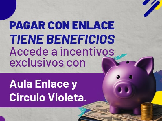 Banner Violetita