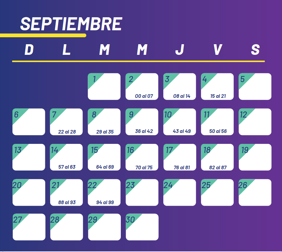 imagen (6)
