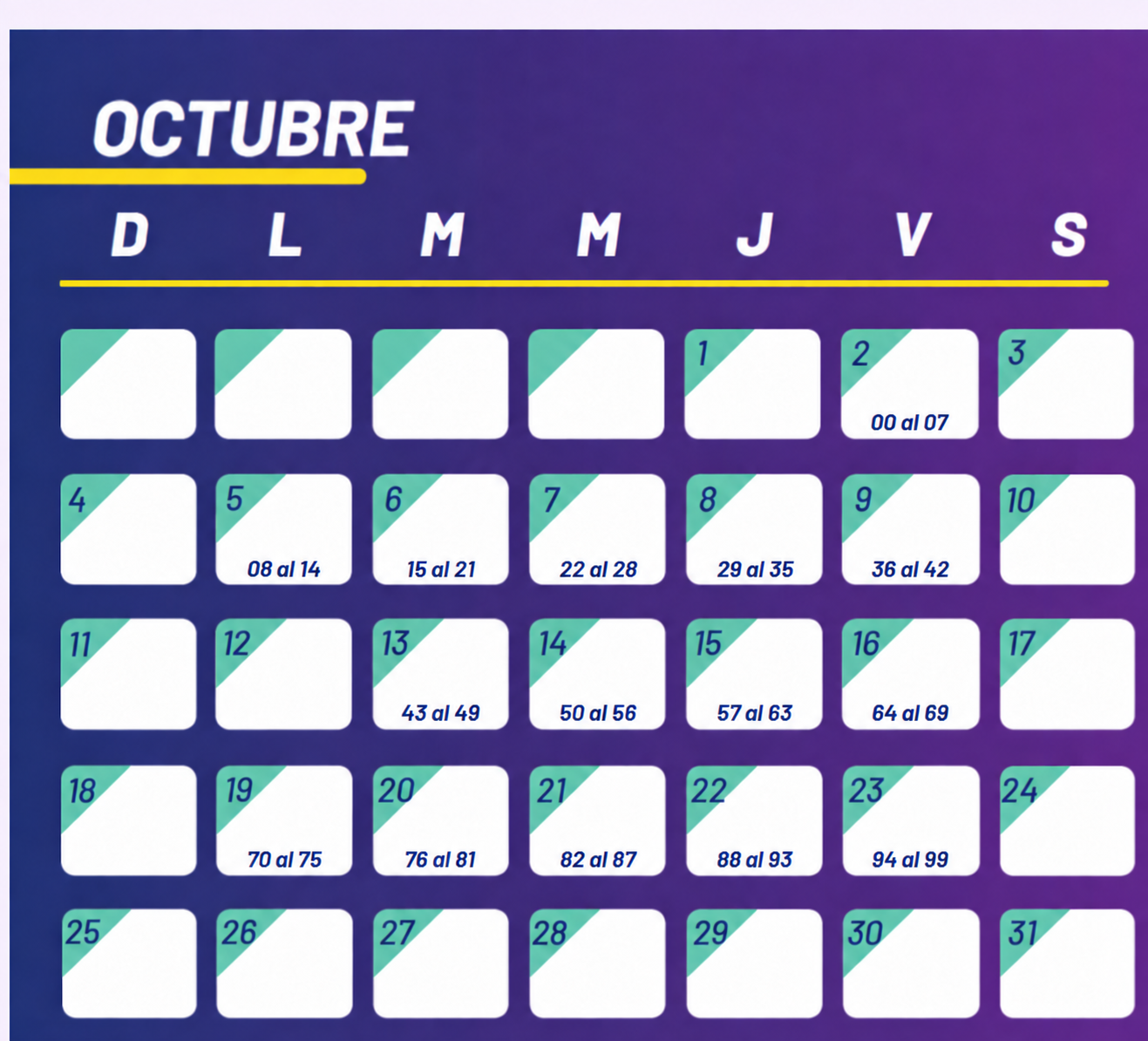 imagen (8)